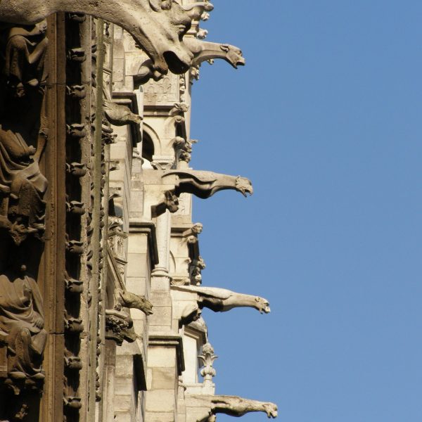 Gargoyles serving as gutters on Notre Dame de Paris cathedral
