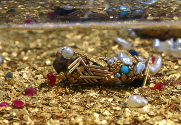 Caddisfly larvae in aquariums with precious materials