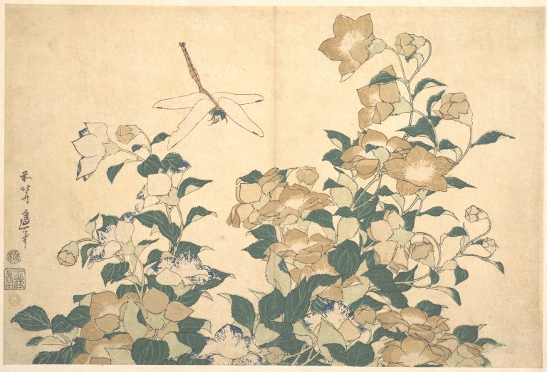 Red-bodied dragonfly hovering above delicate, blue-violet Chinese bellflowers