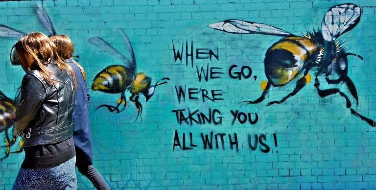 photorealist murals to help bring awareness to dwindling bee populations