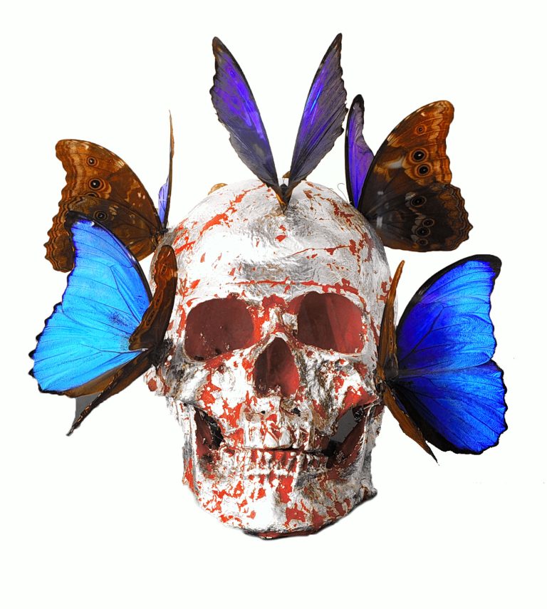 Vanitas theme: Juxtaposition of human skulls and delicate butterflies