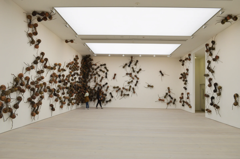 A house that is gradually taken over by ants, prompting the occupants to flee