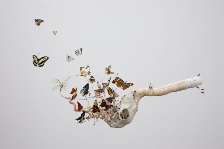 Weathered animal skull from which thin, root-like branches erupt. A swarm of preserved butterflies is mounted to these branches, accompanied by tiny, skeletal humanoid figures that appear to be attacking or controlling the insects